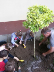 Madarak és fák napja 2018